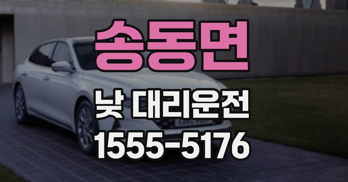 송동면 낮 대리운전