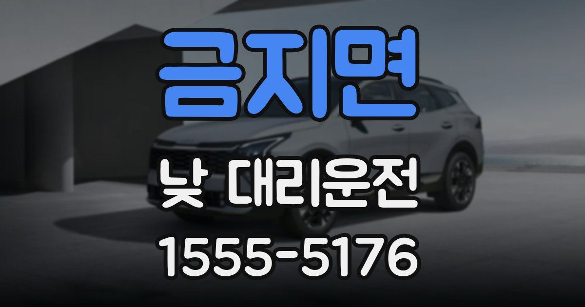 금지면 낮 대리운전
