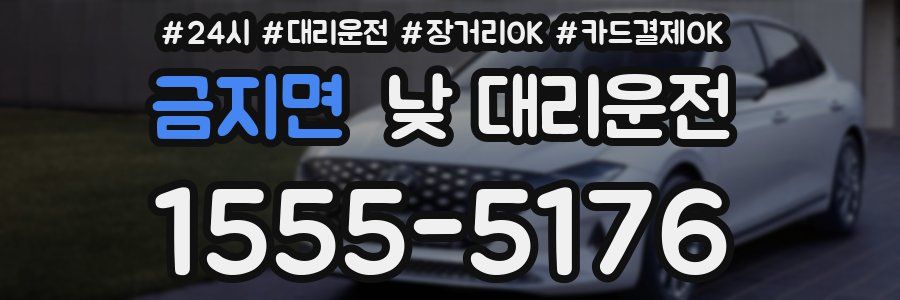 금지면 낮 대리운전