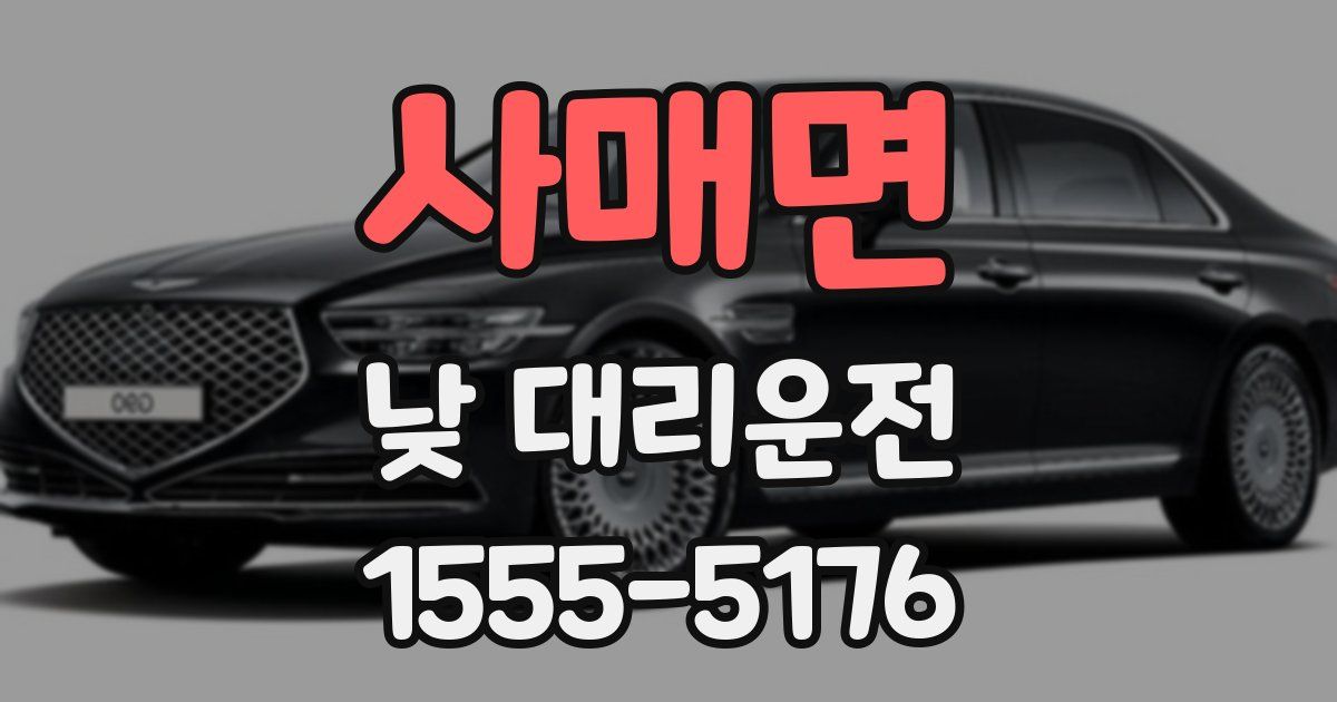 사매면 낮 대리운전