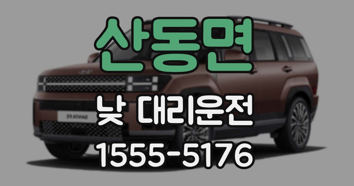 산동면 낮 대리운전