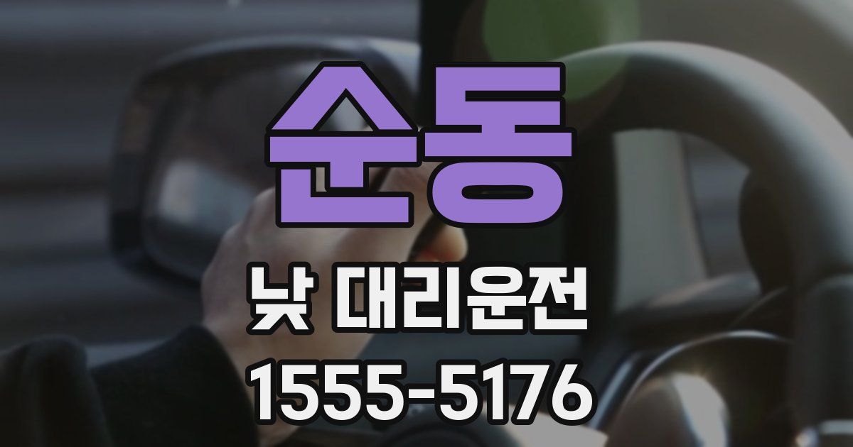 순동 낮 대리운전