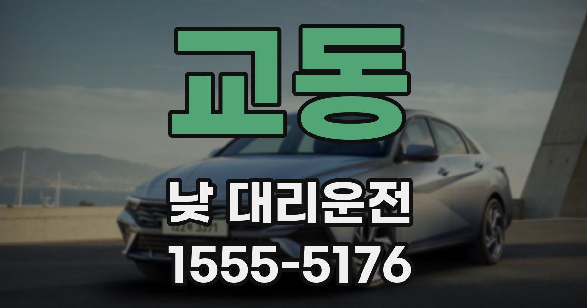 교동 낮 대리운전