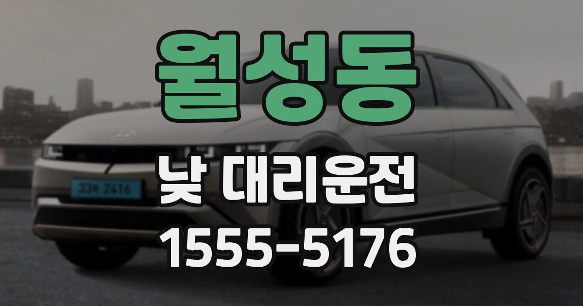 월성동 낮 대리운전