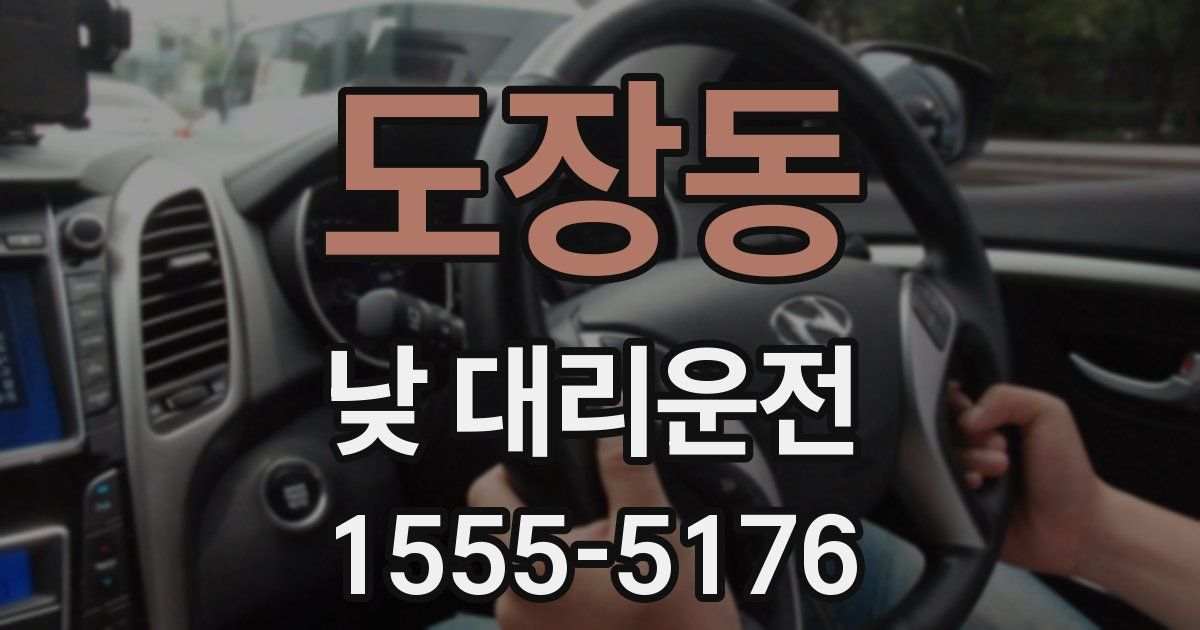 도장동 낮 대리운전