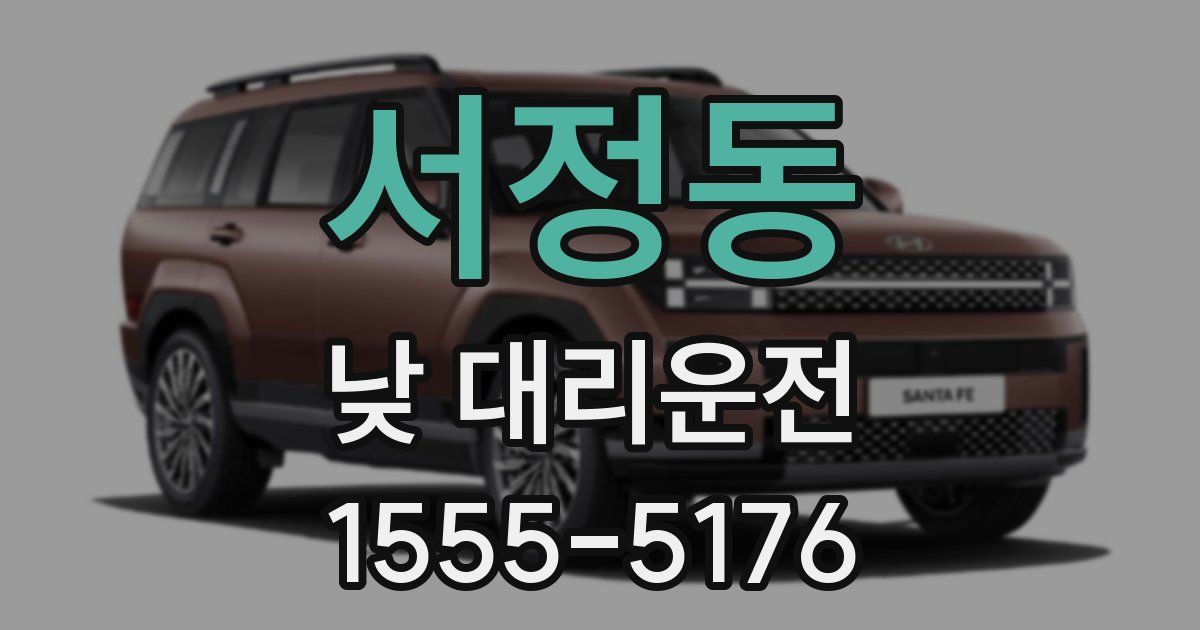 서정동 낮 대리운전