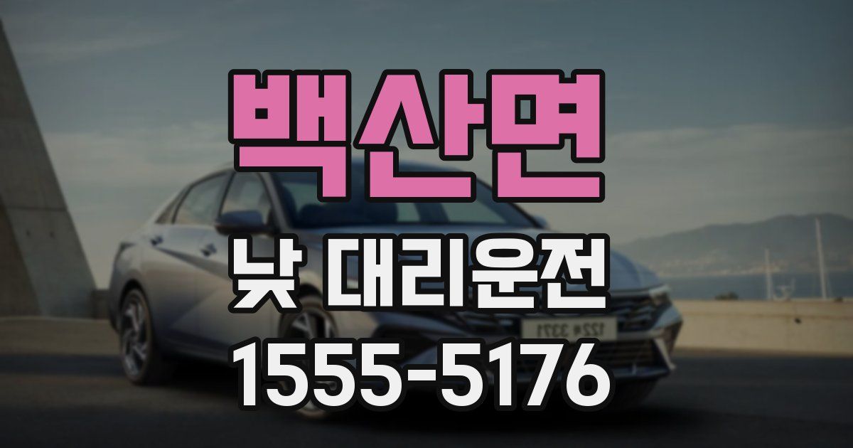 백산면 낮 대리운전