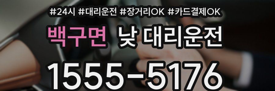 백구면 낮 대리운전