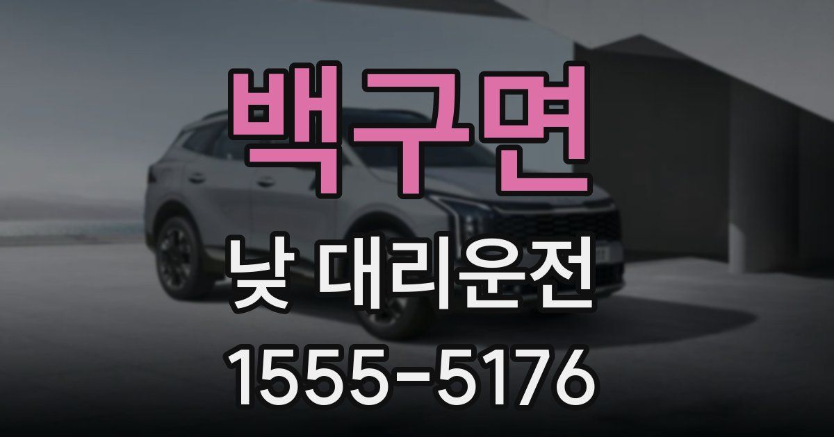 백구면 낮 대리운전