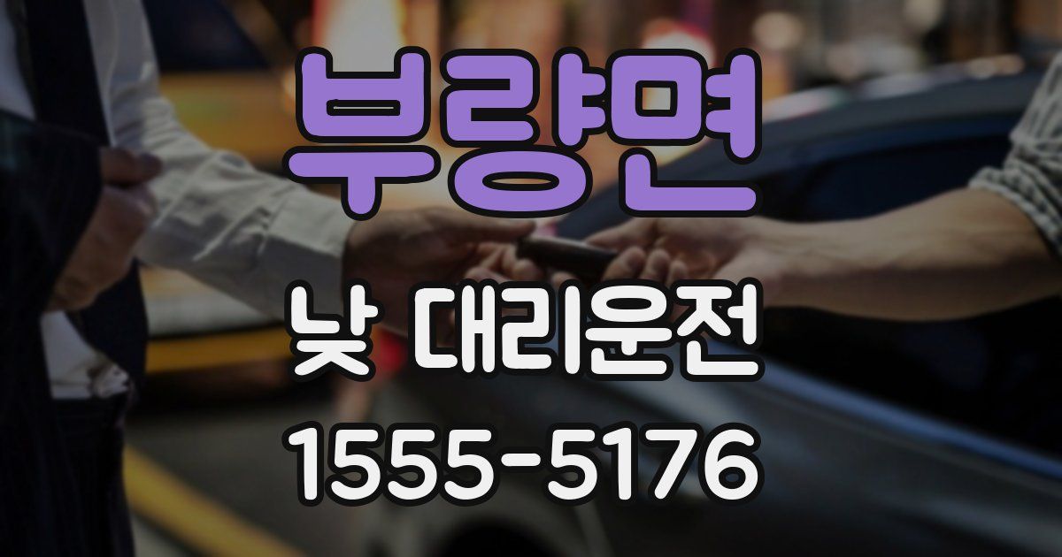 부량면 낮 대리운전