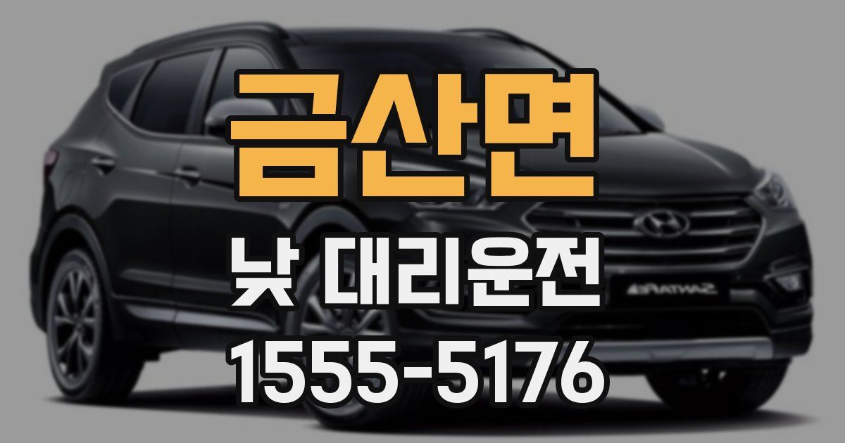 금산면 낮 대리운전