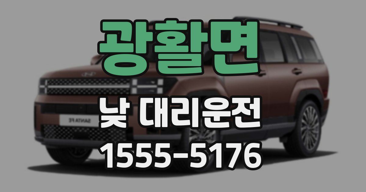 광활면 낮 대리운전