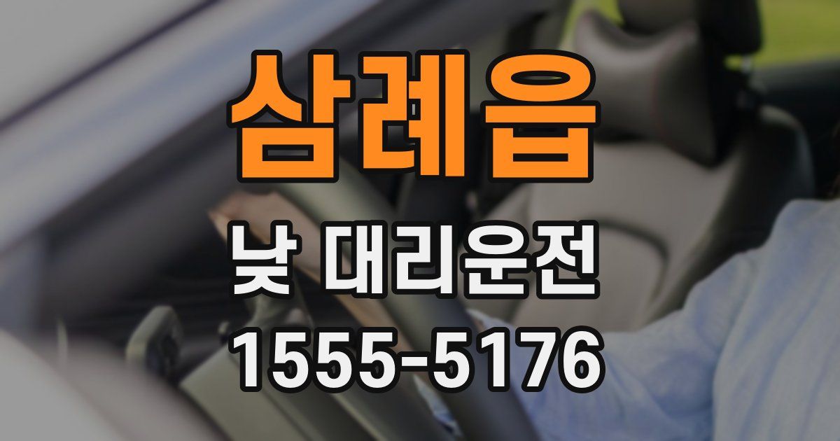 삼례읍 낮 대리운전