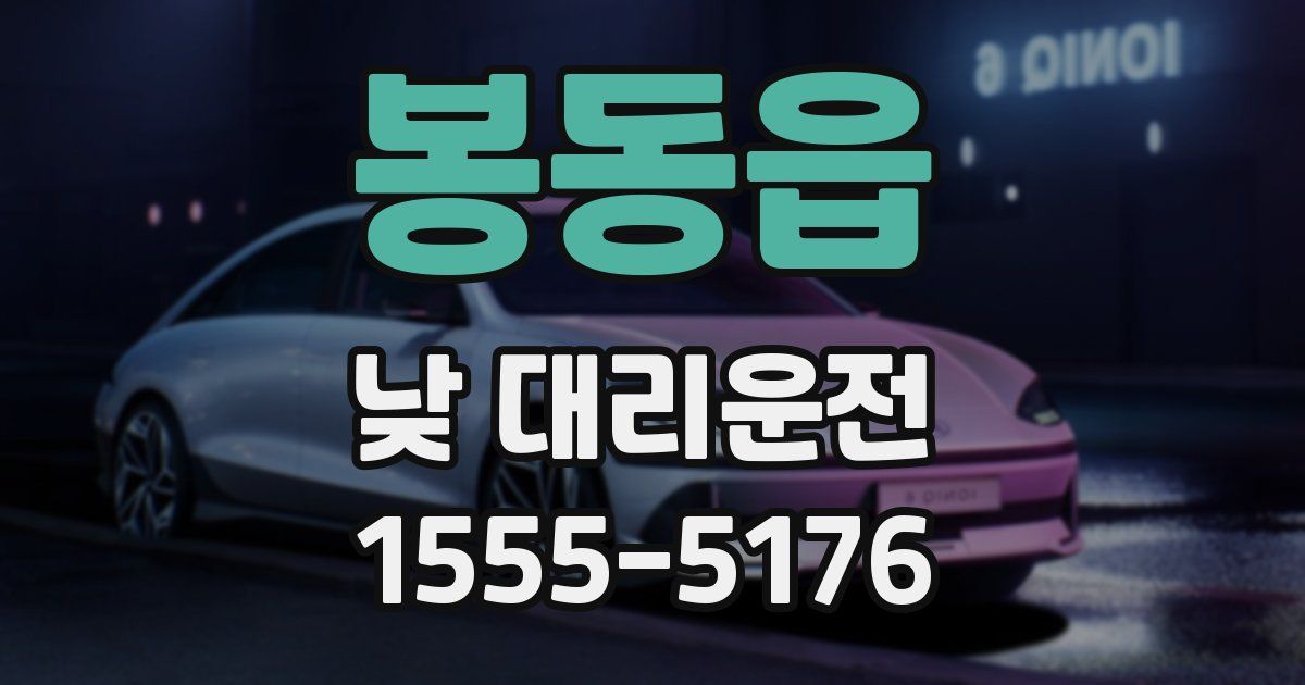 봉동읍 낮 대리운전