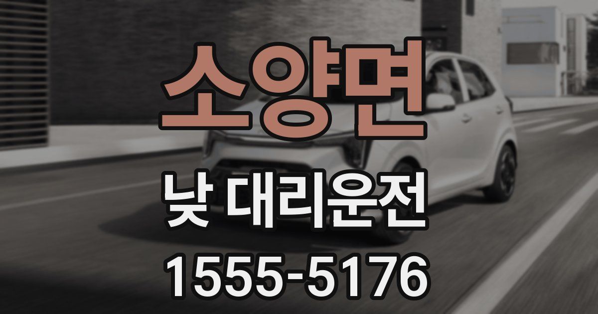 소양면 낮 대리운전