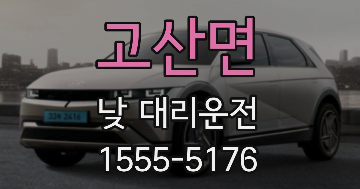 고산면 낮 대리운전