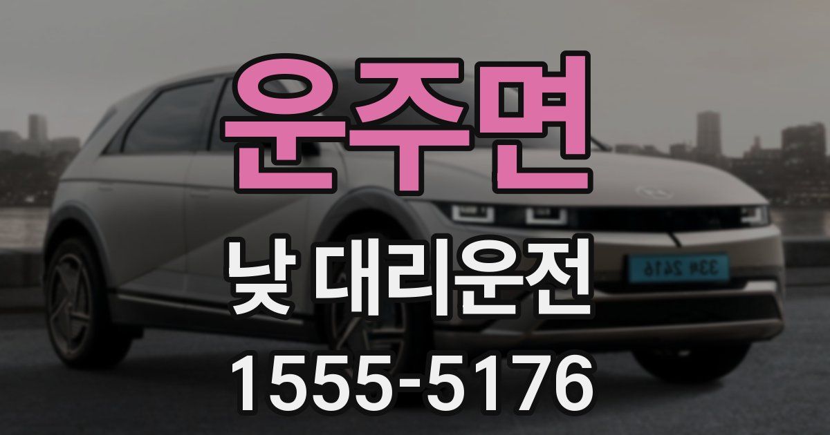 운주면 낮 대리운전