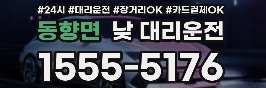 동향면 낮 대리운전