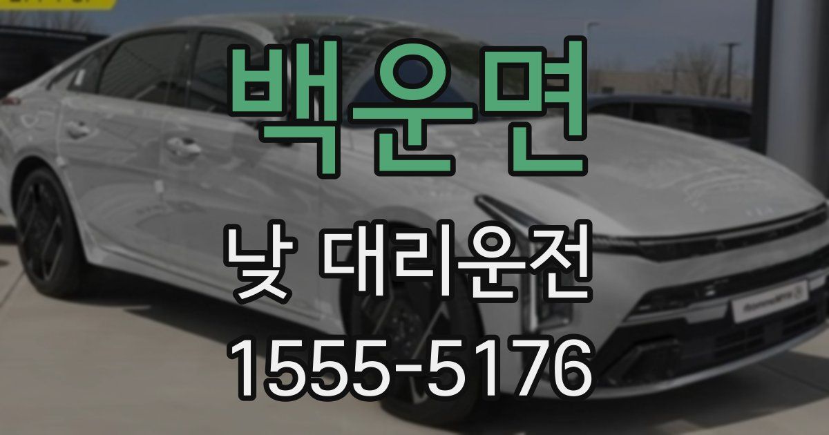 백운면 낮 대리운전