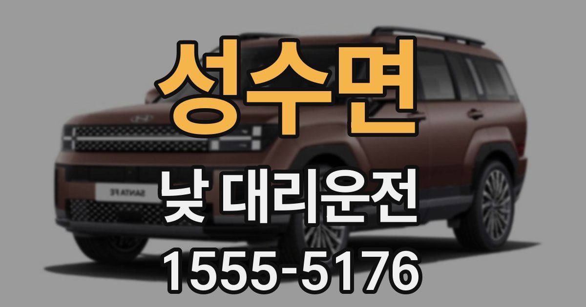성수면 낮 대리운전