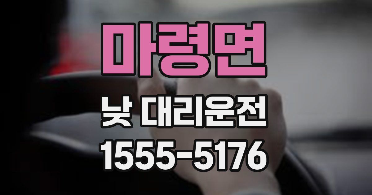 마령면 낮 대리운전