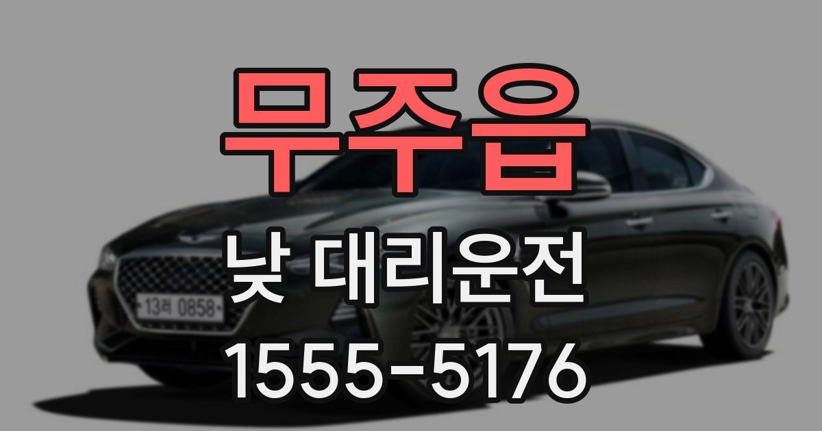 무주읍 낮 대리운전