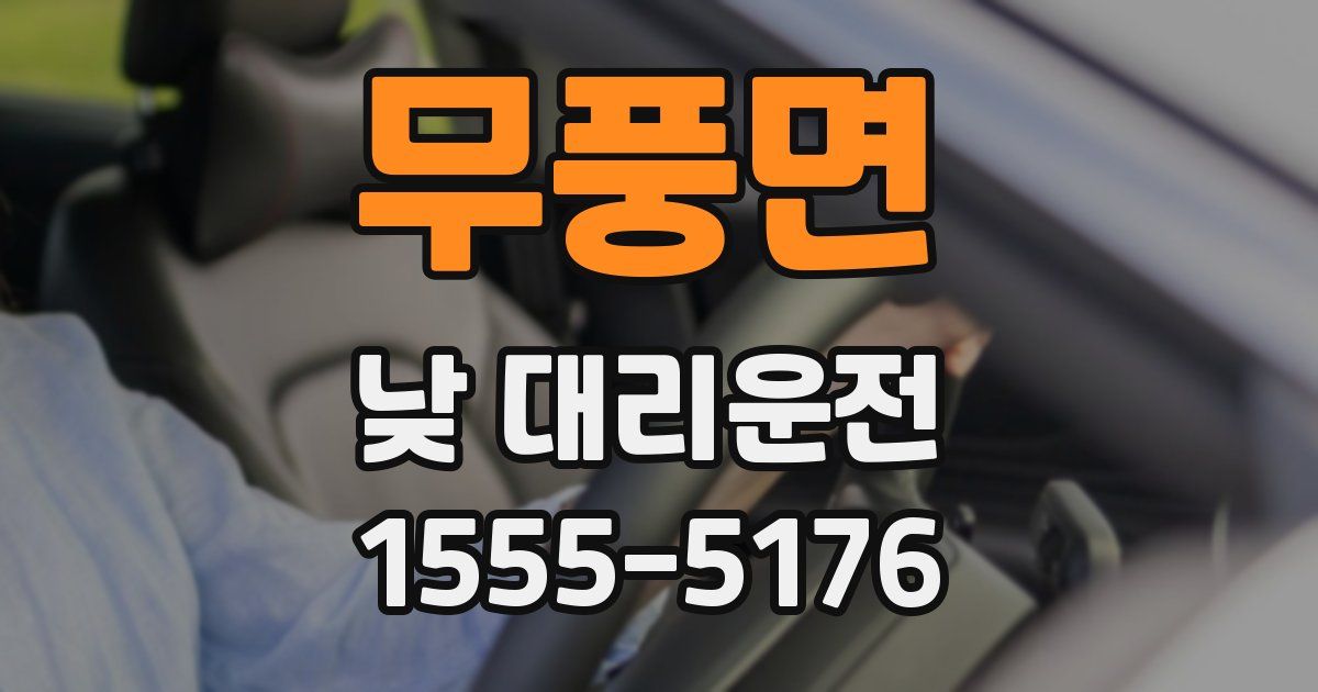 무풍면 낮 대리운전