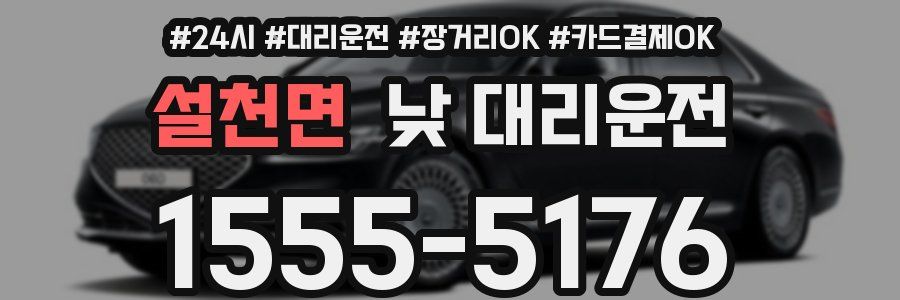 설천면 낮 대리운전