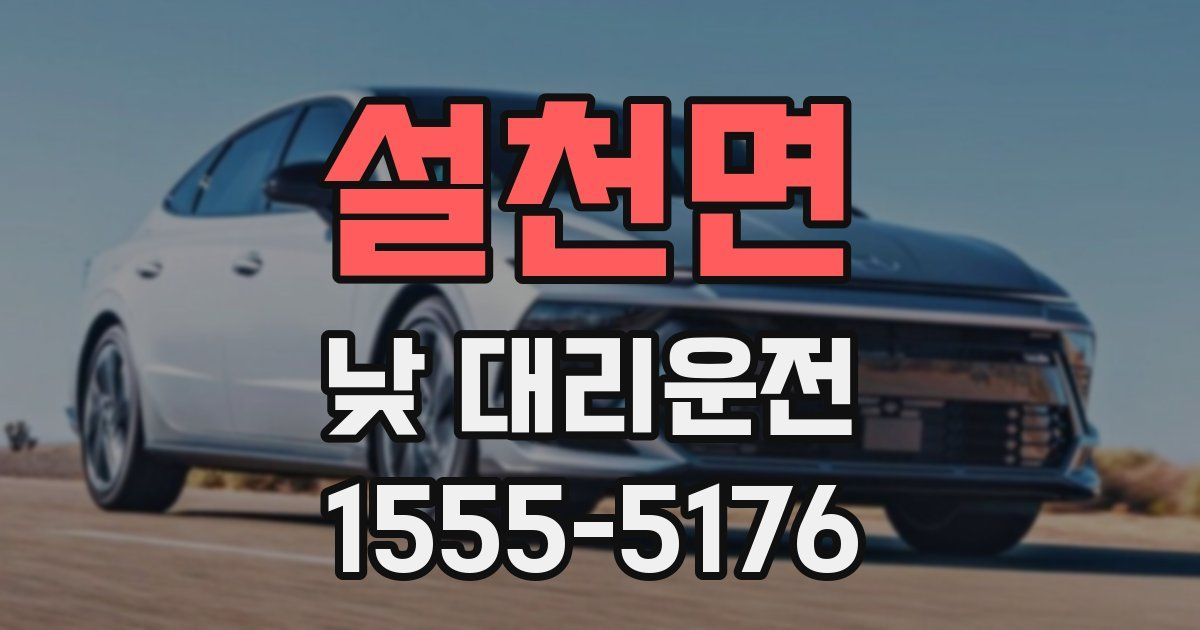 설천면 낮 대리운전
