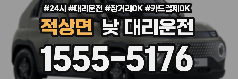 적상면 낮 대리운전