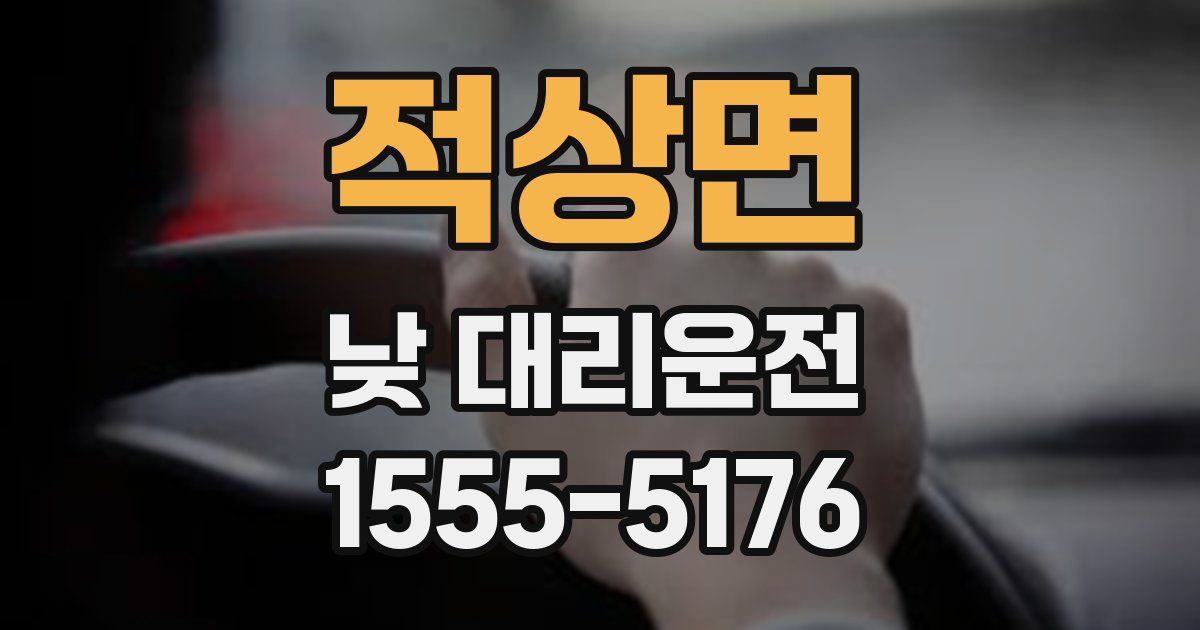 적상면 낮 대리운전