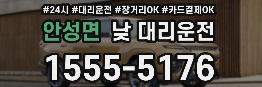 안성면 낮 대리운전