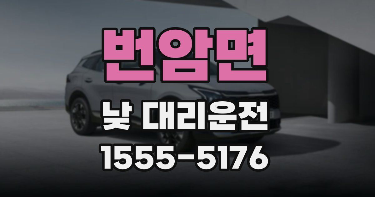 번암면 낮 대리운전