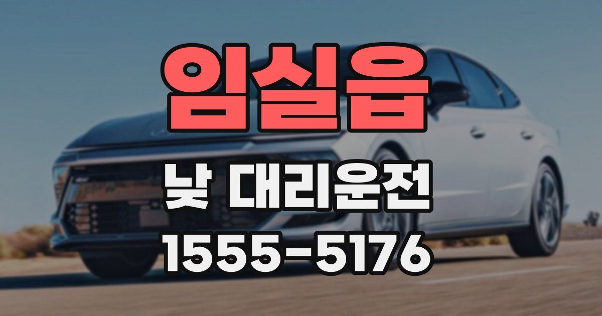 임실읍 낮 대리운전