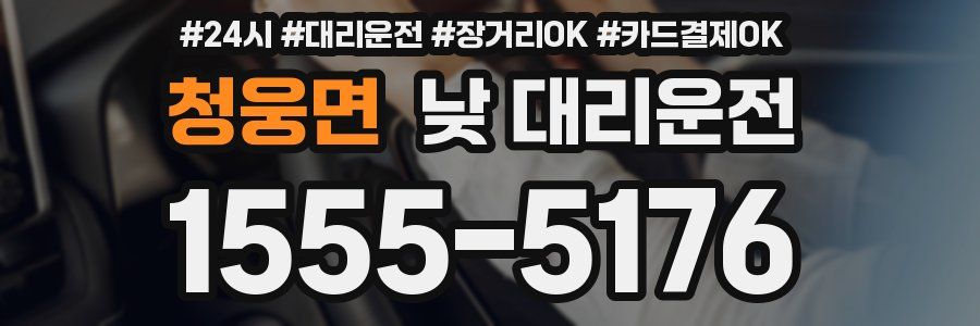 청웅면 낮 대리운전