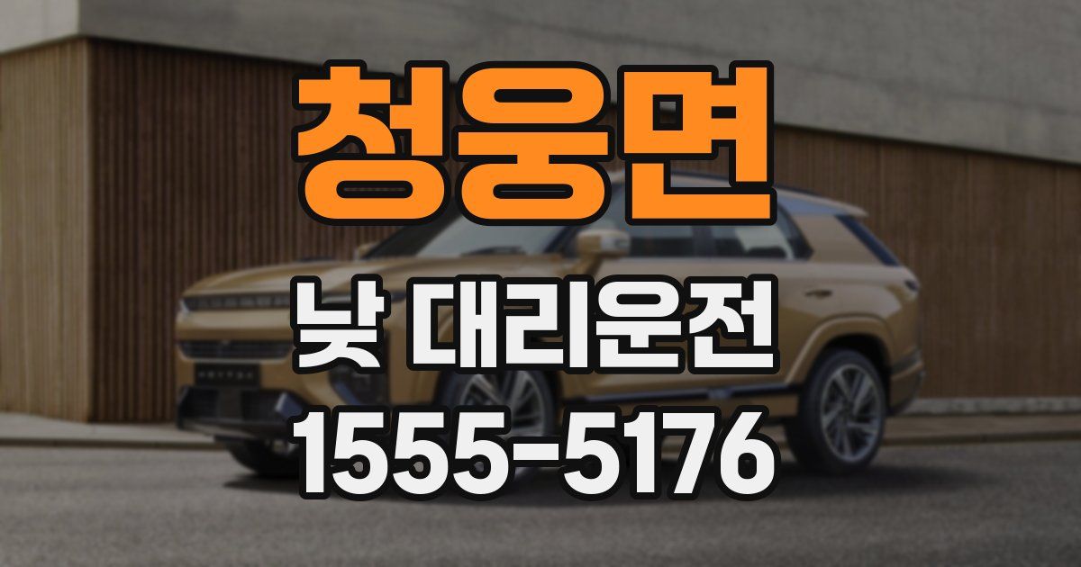 청웅면 낮 대리운전