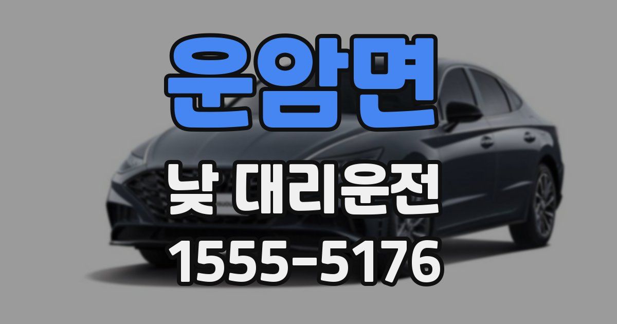 운암면 낮 대리운전