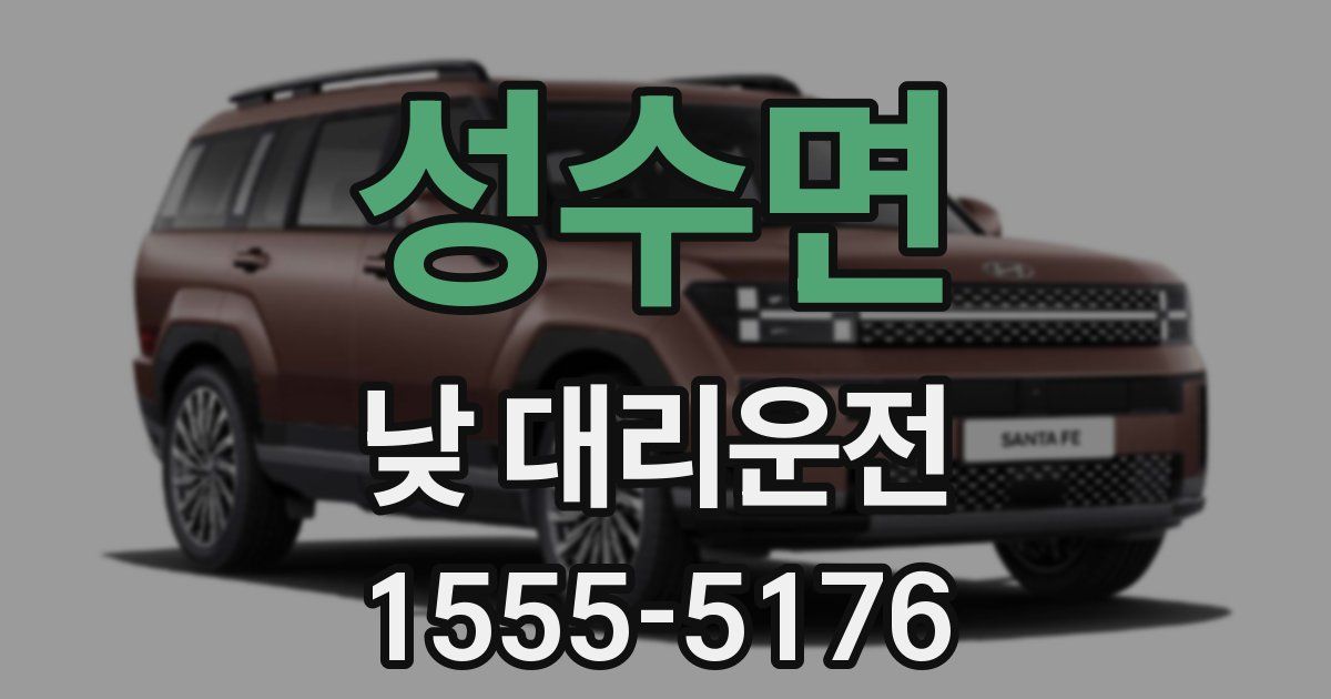 성수면 낮 대리운전