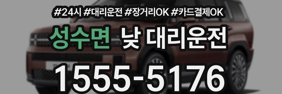 성수면 낮 대리운전
