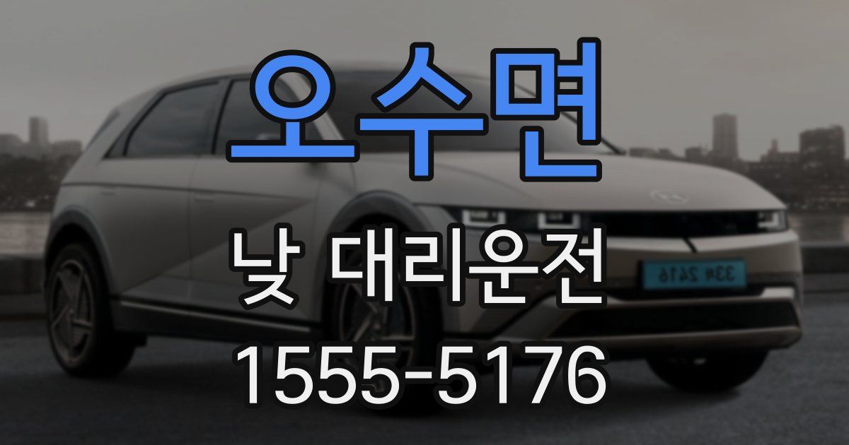 오수면 낮 대리운전