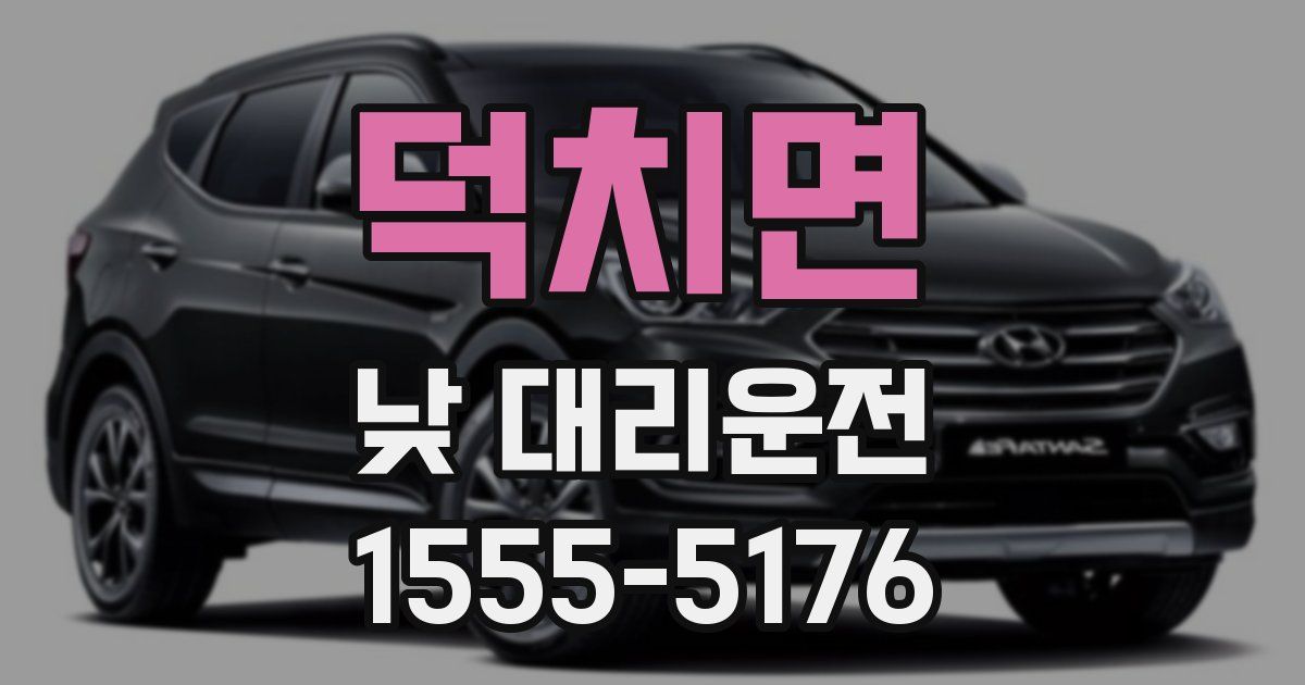 덕치면 낮 대리운전