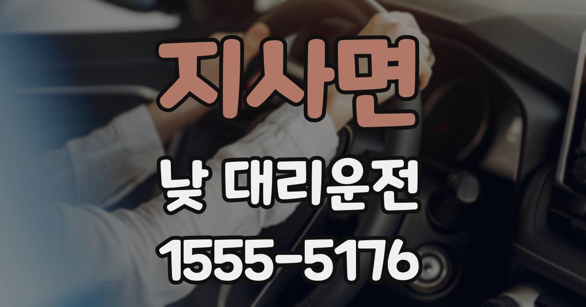 지사면 낮 대리운전