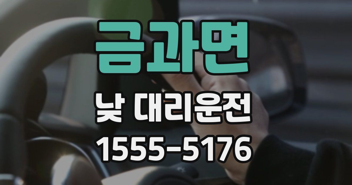 금과면 낮 대리운전