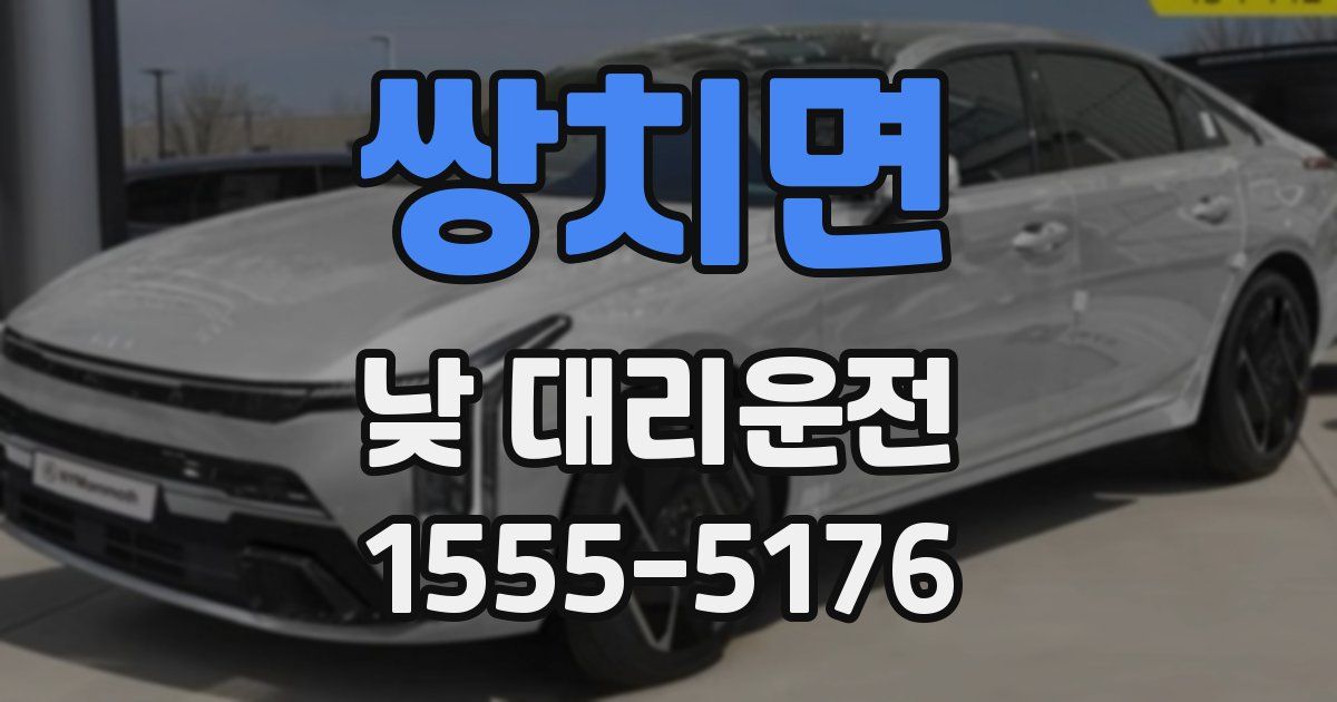 쌍치면 낮 대리운전