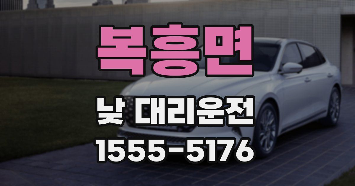 복흥면 낮 대리운전