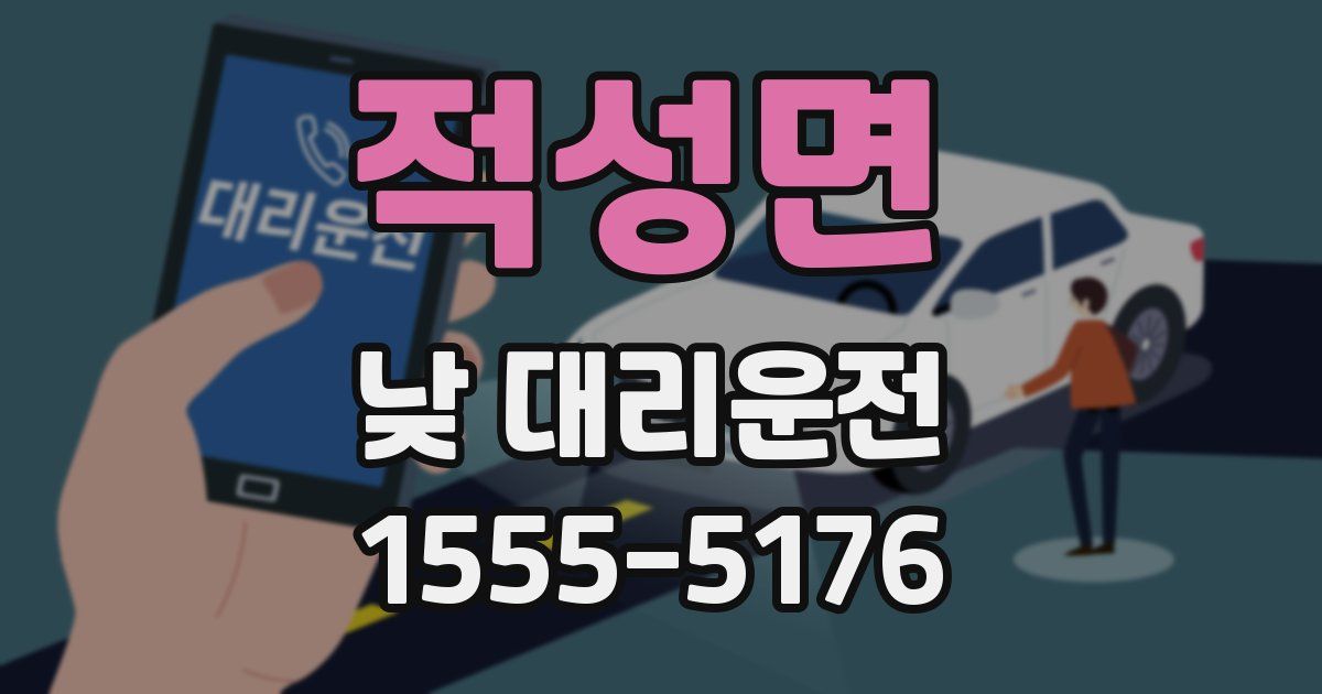 적성면 낮 대리운전