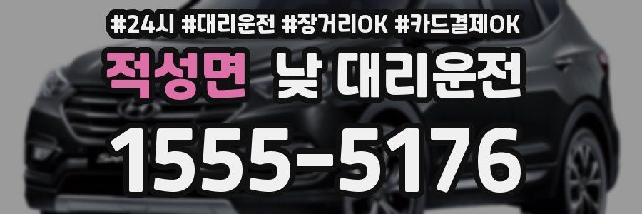 적성면 낮 대리운전