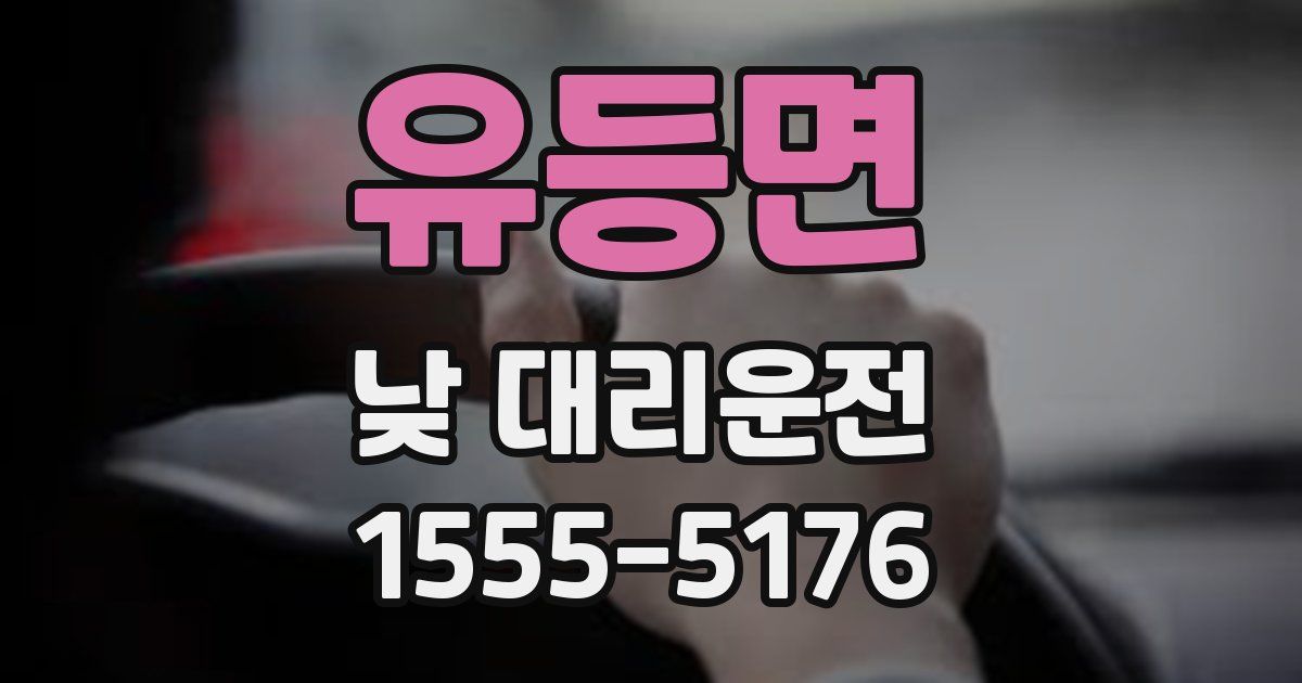 유등면 낮 대리운전