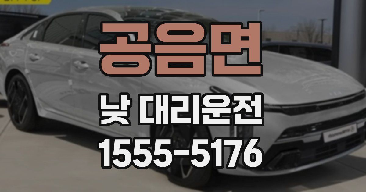 공음면 낮 대리운전