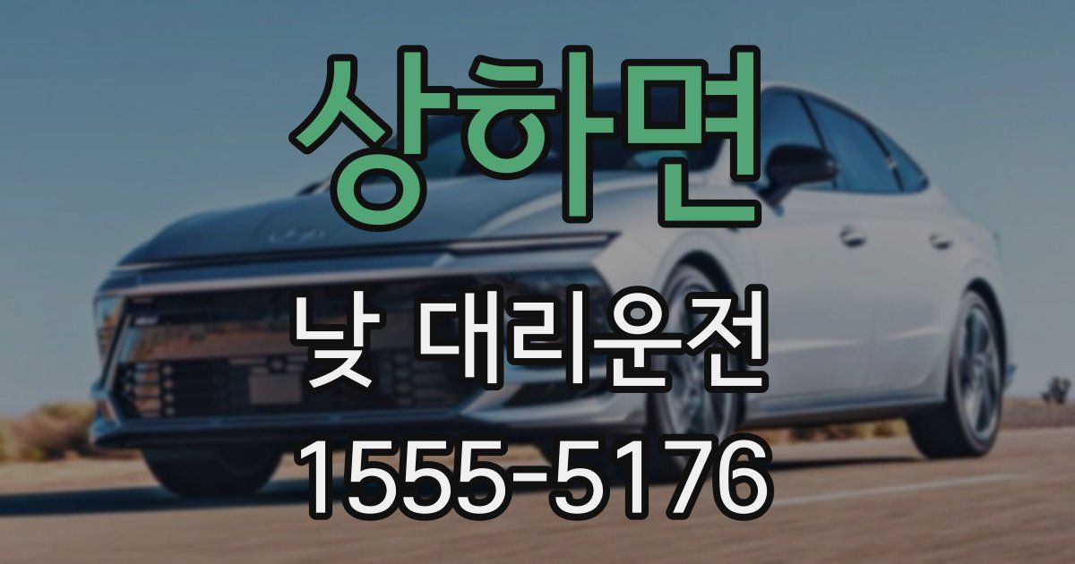 상하면 낮 대리운전